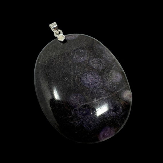 Rare Cambrian Purple Coral Fossil Pendant: Paleontologist Gift (COA) View 4