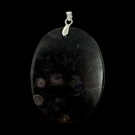 Rare Cambrian Purple Coral Fossil Pendant: Paleontologist Gift (COA) View 5