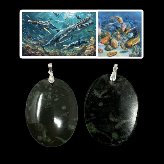 Cambrian Green Coral Fossil Pendant: Prehistoric Ocean Seafloor, Paleontologist Gift (COA Included)
