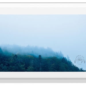 Misty Morning in the Forest, Cloudy Forest Photograph, Moody Nature Poster, Photo Print of Trees in the Forest,  Minimalist Nature Picture