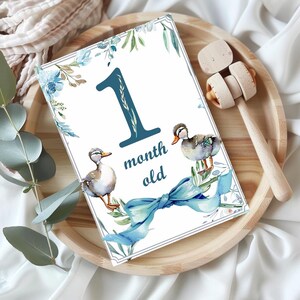 Jeu de cartes jalons de 1 an aquarelle canard cartes jalons garçon bébé fille animaux bleu arc cartes jalons imprimable nouveau cadeau de baby shower