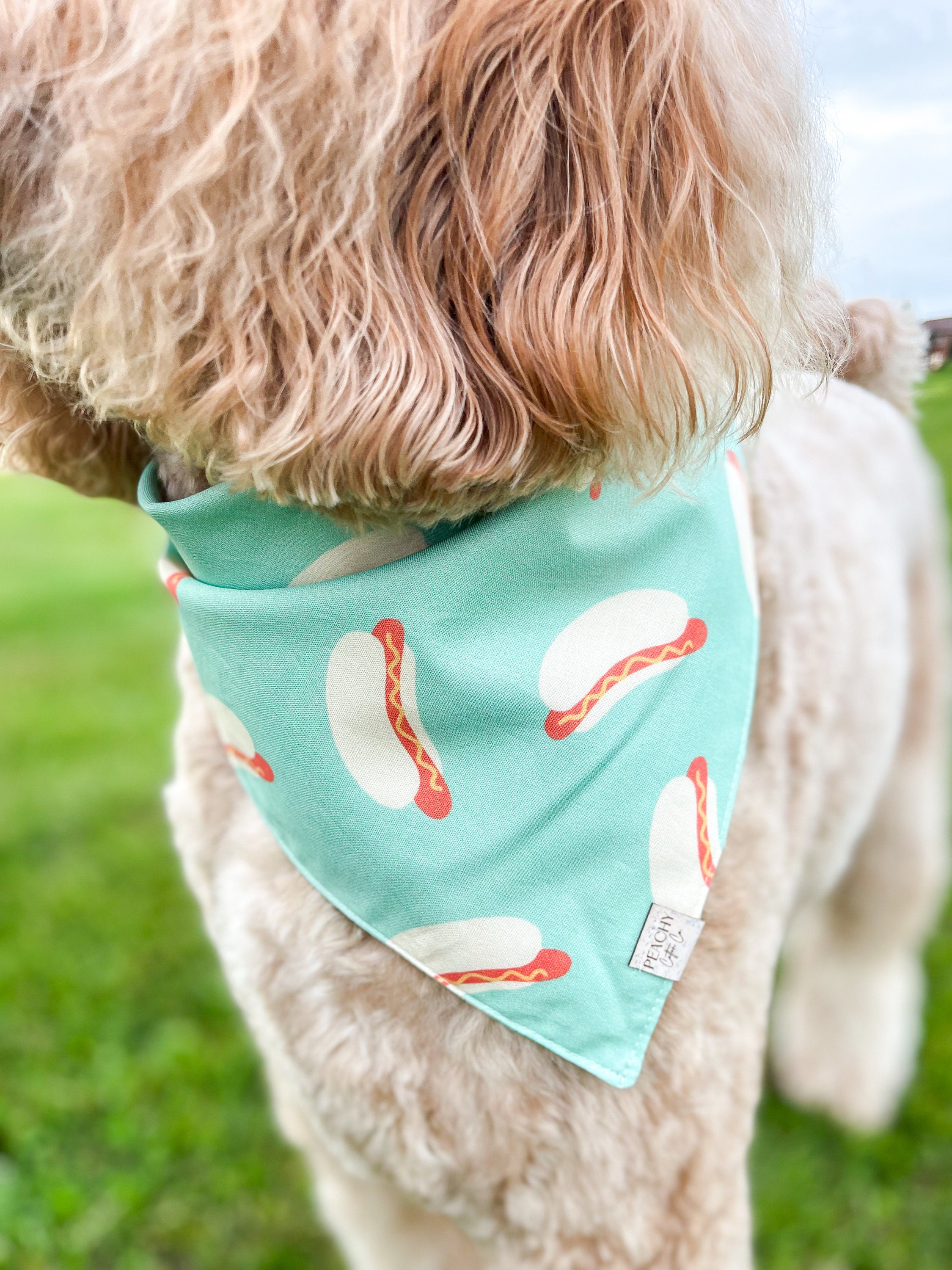 Hot Dog Bandana Etsy