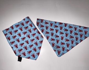 Pañuelos para perros cangrejo