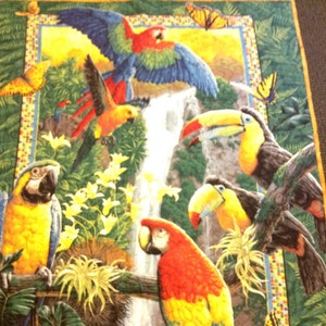 Beautiful Tropical bird quilt