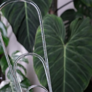 May include: A set of three clear plastic plant supports, each with a different size loop. The supports are designed to help plants grow upright and can be used for a variety of plants.