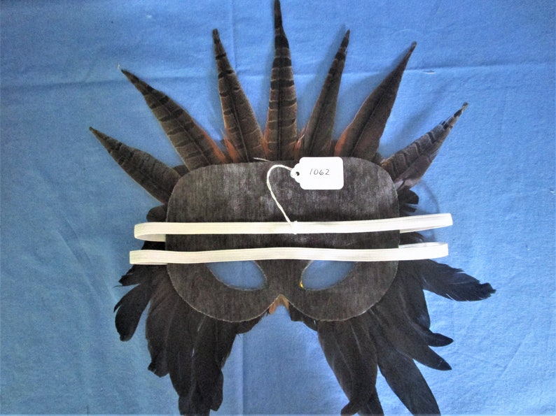 English ringneck pheasant feather mask with coquil accents 1062
