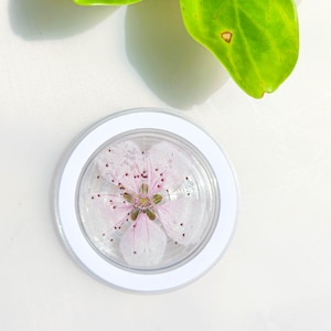 May include: A small, circular, white container with a transparent lid, displaying a pressed pink flower. The flower has a detailed centre and is encased in a clear, gel-like substance. Green leaves are visible in the background.