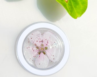Può includere: Un piccolo contenitore rotondo bianco con un coperchio trasparente, che mostra un delicato fiore rosa pressato. Il fiore ha un centro dettagliato ed è circondato da una sostanza trasparente simile a un gel. Sullo sfondo sono visibili foglie verdi.