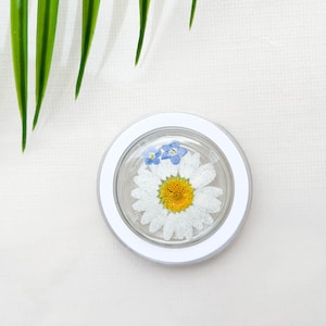 Puede incluir: Una margarita blanca con un centro amarillo y dos nomeolvides azules están prensados dentro de un posavasos de resina transparente con un borde blanco.