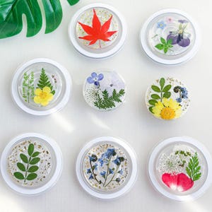 Real Pansy Daisy Flower Handmade Phone Grip, Magnetic Four Leaf Pressed Leaf Phone Grip, Forget Me Not Baby&#39;s Breath Folding Grip For Kindle