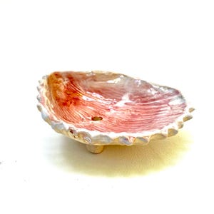 Hand Made Ceramic Shell  Soap Dish