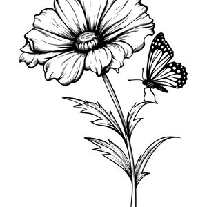 May include: A black and white line drawing of a flower with a butterfly perched on the stem. The flower has a large, round head with many petals. The butterfly has wings with a pattern of dots.
