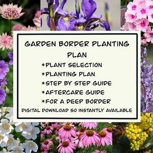Op de afbeelding: Een digitale downloadgids voor het planten van een tuinrand. De gids omvat plantenselectie, plantplan, stapsgewijze instructies, nazorgtips en is ontworpen voor een diepe rand.