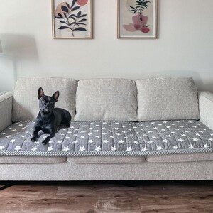 May include: A gray couch with a white and gray star patterned quilted cover. A black French bulldog is sitting on the couch.