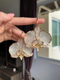 Real white phalaenopsis earrings product logo