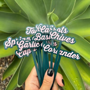 May include: A set of green plant markers with pink lettering. The markers are labeled with the names of herbs and vegetables, including "To Carrots", "Basil", "Chives", "Spring Garlic", "Cap", and "Coriander".