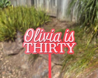 Custom Name Cake Topper For Birthday Baby Shower Hens Anniversary Birthday Decoration Idea Custom Accessories Party Bday Cute