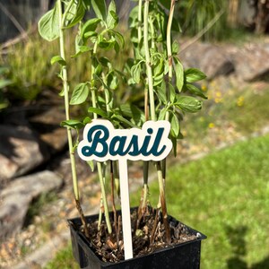 Garden Markers Herb Markers Plant Stake Labels Garden Custom Labels Personalised Garden Labels Plant Organiser Garden Organiser Eco Friendly