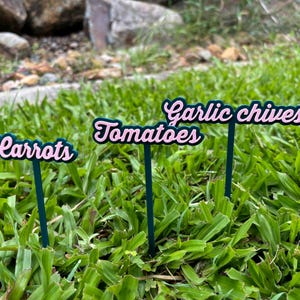 May include: Four garden plant markers with pink lettering on black sticks. The markers read "Carrots", "Tomatoes", "Garlic", and "Chives".