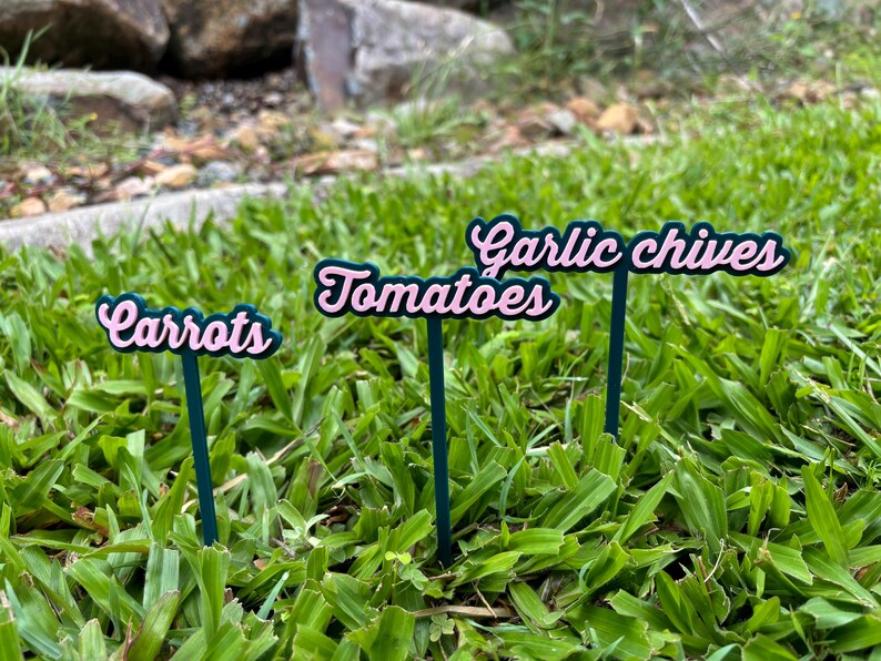 May include: Four garden plant markers with pink lettering on black sticks. The markers read "Carrots", "Tomatoes", "Garlic", and "Chives".