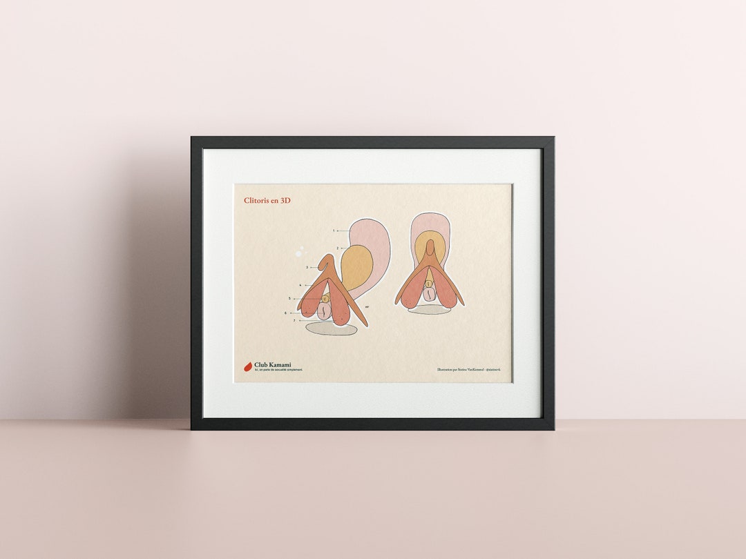 Clitoris Educational Pack 3D Clitoris Q A Clitoris And Penis Rest clitoris-educational-pack-3d-clitoris-q-a-clitoris-and-penis-rest