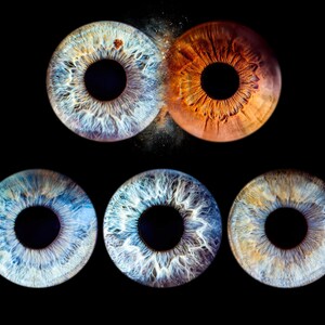Family's professional EyePrint in Vancouver