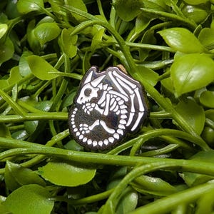 May include: A circular enamel pin featuring a white skeletal dragon illustration against a dark, iridescent background. The dragon is depicted in a curled position with visible wings, a long tail, and a skull, showcasing a high-contrast design.