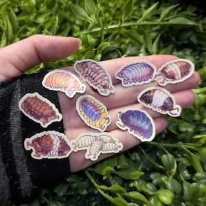 May include: A set of ten colorful pill bug stickers. The stickers feature various pill bugs in different poses and colors, including brown, white, purple, and blue.