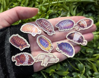 Puede incluir: Un conjunto de diez pegatinas de cochinillas coloridas. Las pegatinas presentan diferentes cochinillas en diferentes poses y colores, incluyendo marrón, blanco, morado y azul.