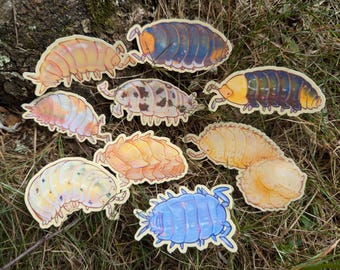 Puede incluir: Un conjunto de nueve cochinillas ilustradas y coloridas, sobre un fondo blanco. Las cochinillas están dibujadas en un estilo de dibujos animados y presentan varios colores, incluyendo azul, amarillo, naranja y marrón.
