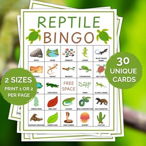 30 reptilbingokort, utskrivbara reptilbingo, djurbingo, reptilfödelsedagsfestaktivitet, naturspel i klassrummet, djungelbingospel