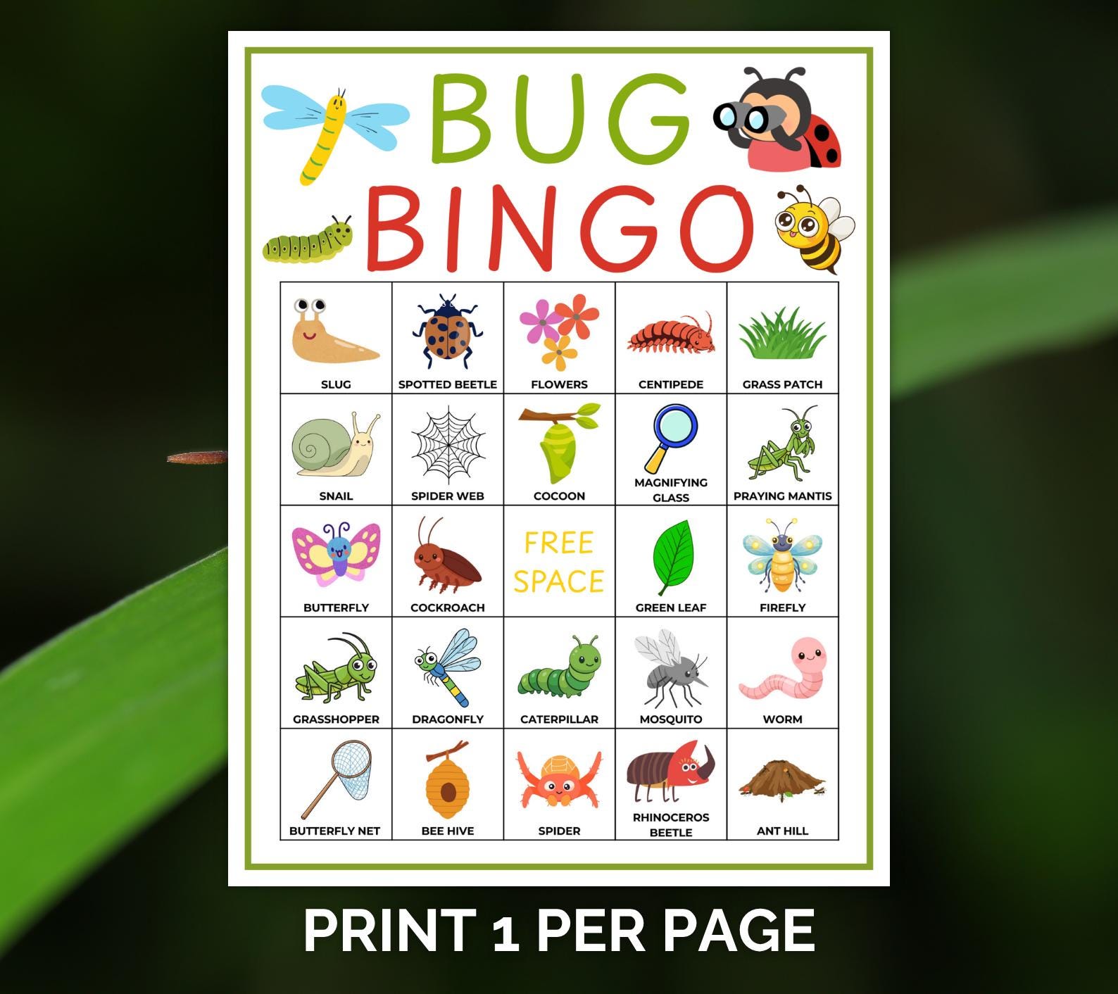 30 Bug Bingo Cards, Bug Bingo Printable, Insect Bingo, Garden Bug Game ...