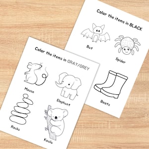 May include: Two coloring pages with black and white illustrations of a bat, spider, boots, mouse, elephant, rocks, and koala. The text on the pages reads "Color the items in BLACK" and "Color the items in GRAY/GREY".