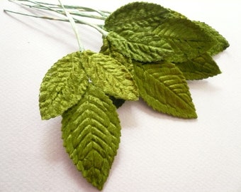 Vintage  Green Velvet Rose Leaves Medium  (6)  New Old Stock