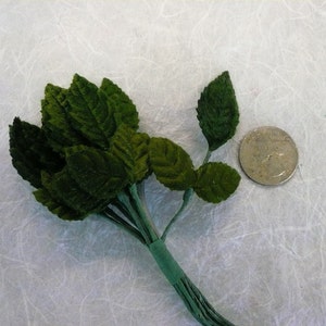 May include: A bunch of dark green velvet leaves tied together with a green wire. The leaves are about the size of a US quarter.