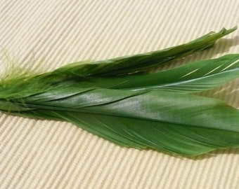 Vintage Millinery Green Feather Foliage Pick  New Old Stock