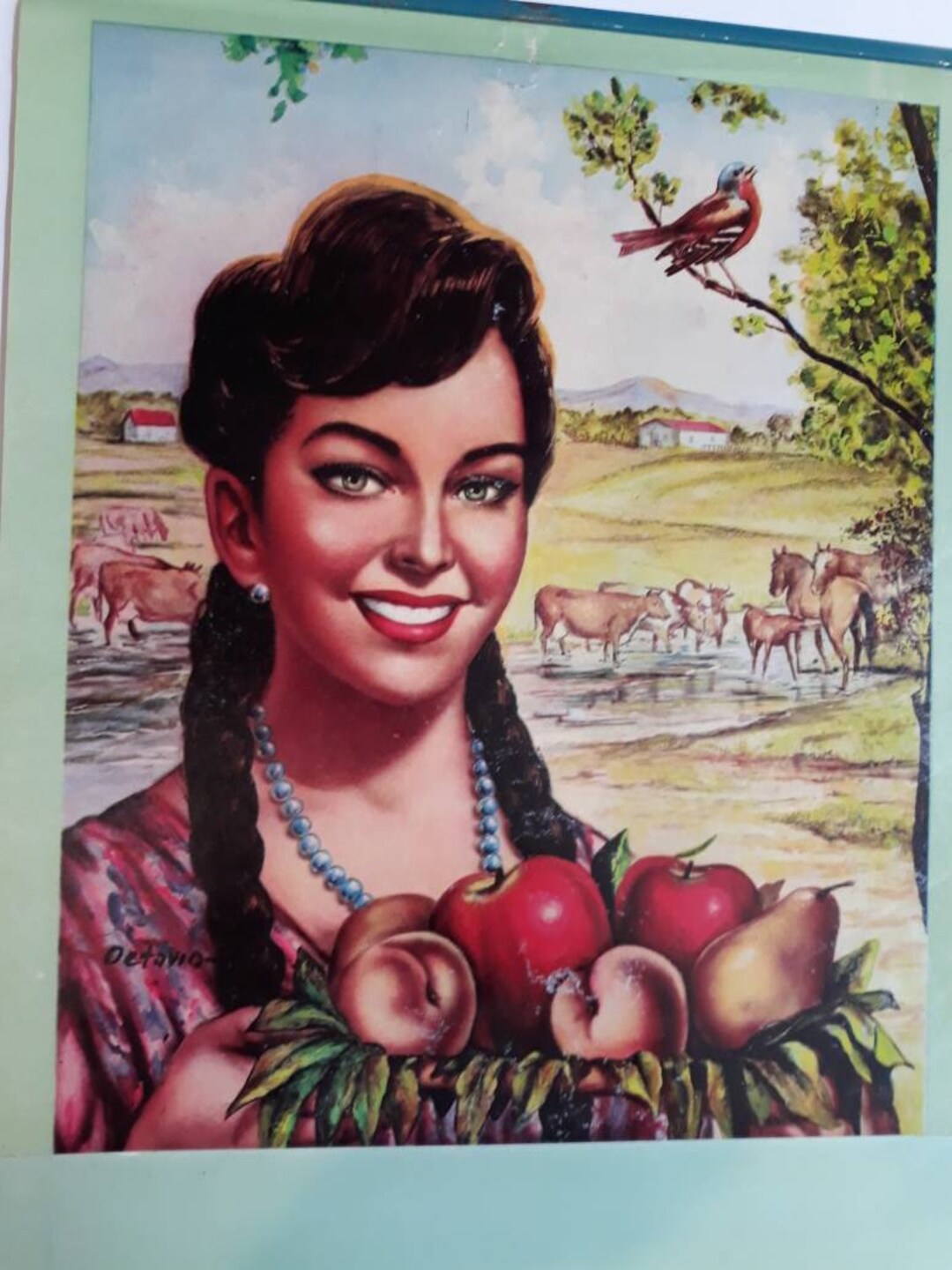 Vintage Mexico Calendar Art Senorita Basket of Fruit Country Etsy