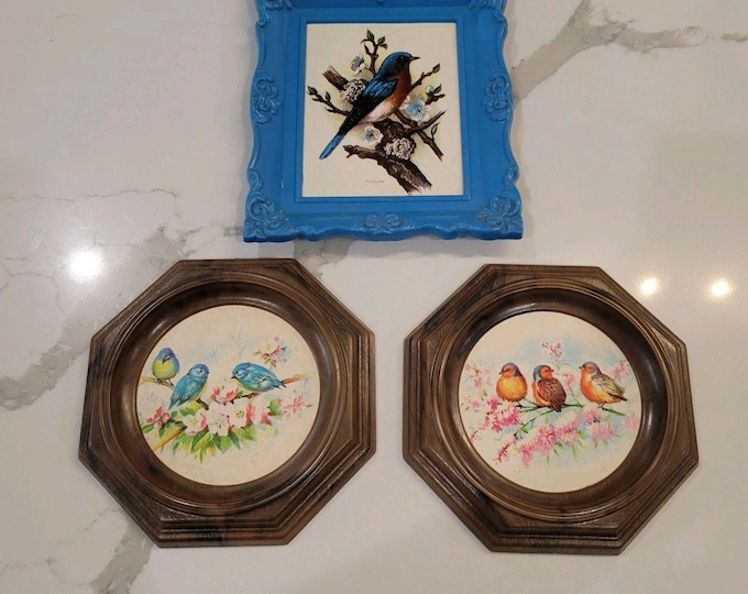 VTG Song Birds On Branch Print Gallery Wall Art Octagon Plastic Frames 3 pcs