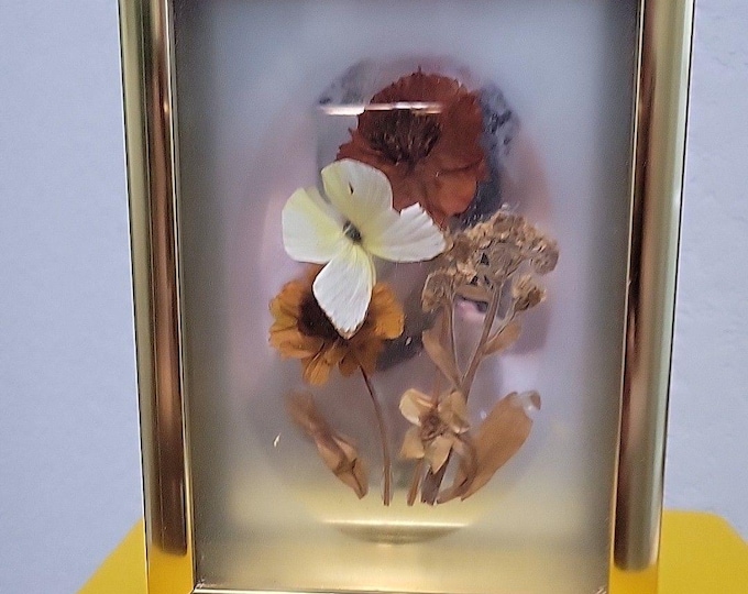 Vintage Dried Flowers Butterfly Framed Collage 5 x 7 Brass Gallery Wall MCM 70s