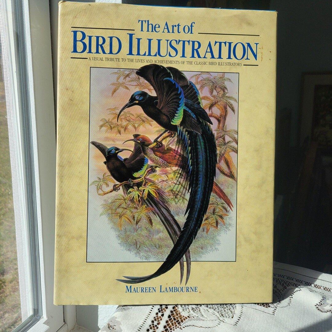 The Art of Bird Illustration by Maureen Lambourne Hardback 1990 ...