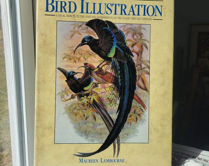 The Art of Bird Illustration by Maureen Lambourne Hardback 1990 Wellfleet Press