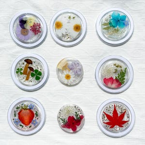 Soporte magnético para teléfono con margaritas reales, soporte para planta de hongos secos, soporte para teléfono con fresa prensada, accesorio para teléfono con soporte magnético para Kindle.