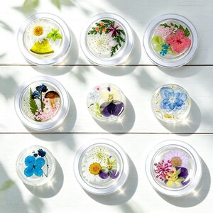 May include: Nine circular clear containers arranged in a grid, each filled with a unique arrangement of pressed dried flowers, leaves, and small botanical elements in various colours including white, blue, pink, purple, yellow, and green.