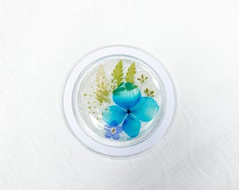 Real Daisy Flower Magnetic Phone Grip, Dried Mushroom Plant Grip,Pressed Strawberry Fruit Phone Holder, Phone Accessories Kindle Magnet Grip