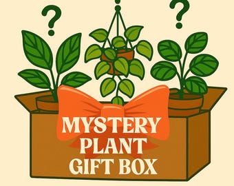 Mystery Plant Cutting Gift Box • Personalized Note & Wrap