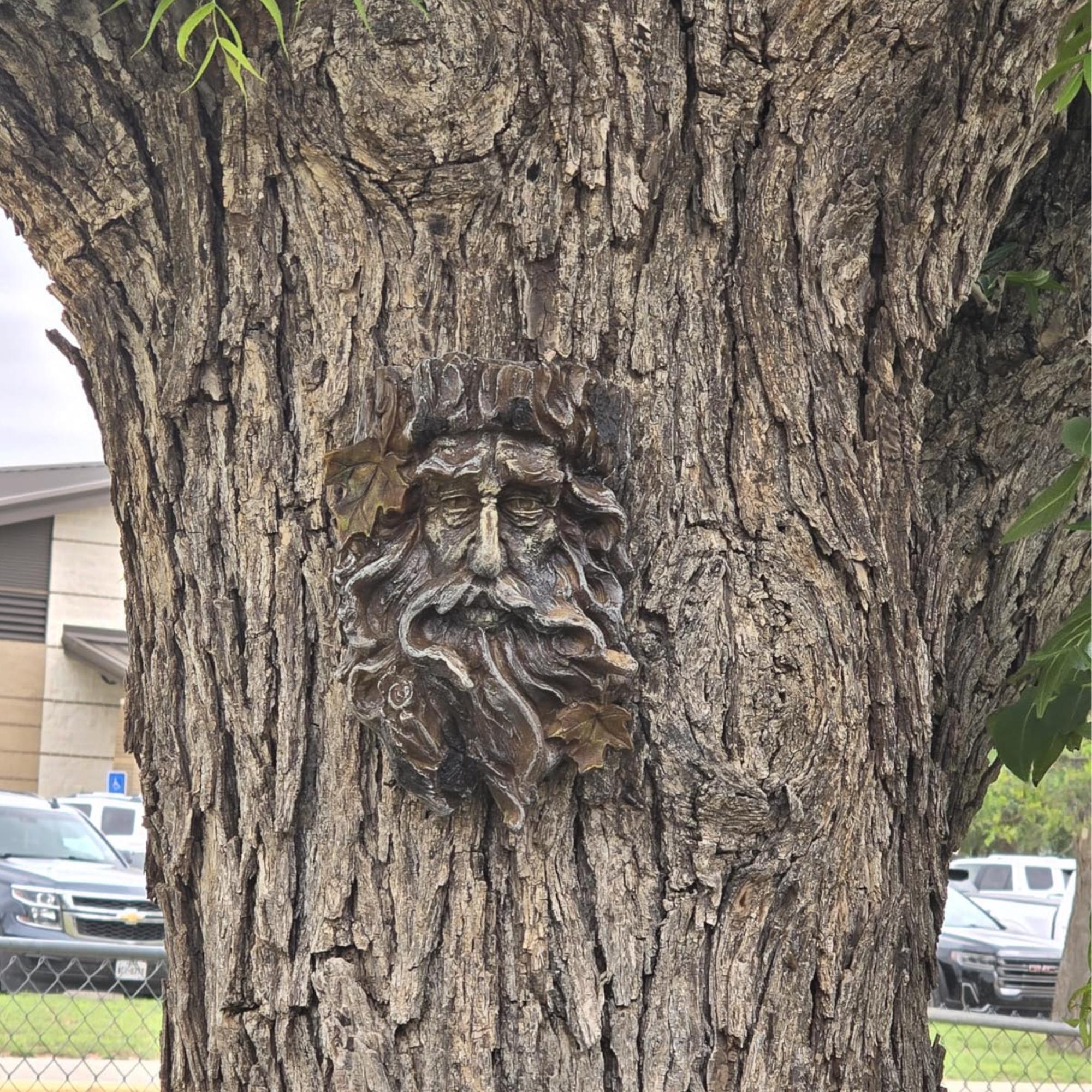 Whimsical Tree Face Sculpture Old Man Tree Hanging Flower Planter-yard ...