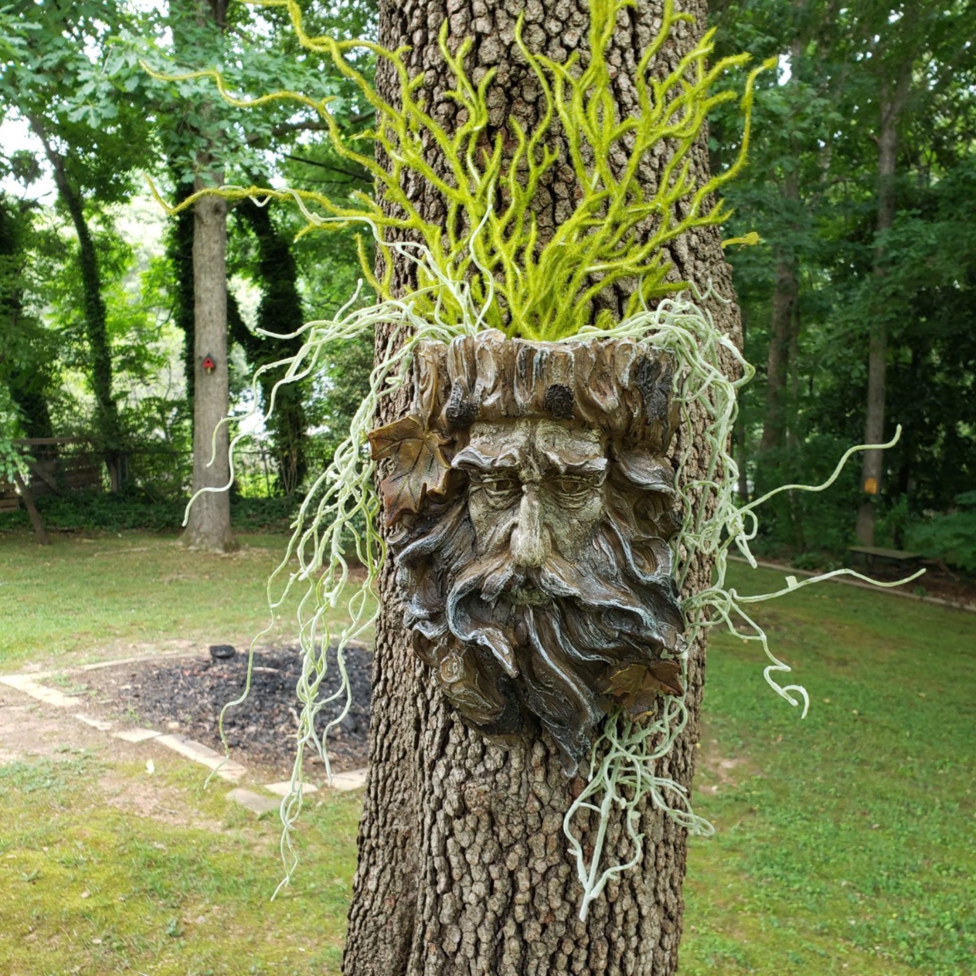 Whimsical Tree Face Sculpture Old Man Tree Hanging Flower Planter-yard ...