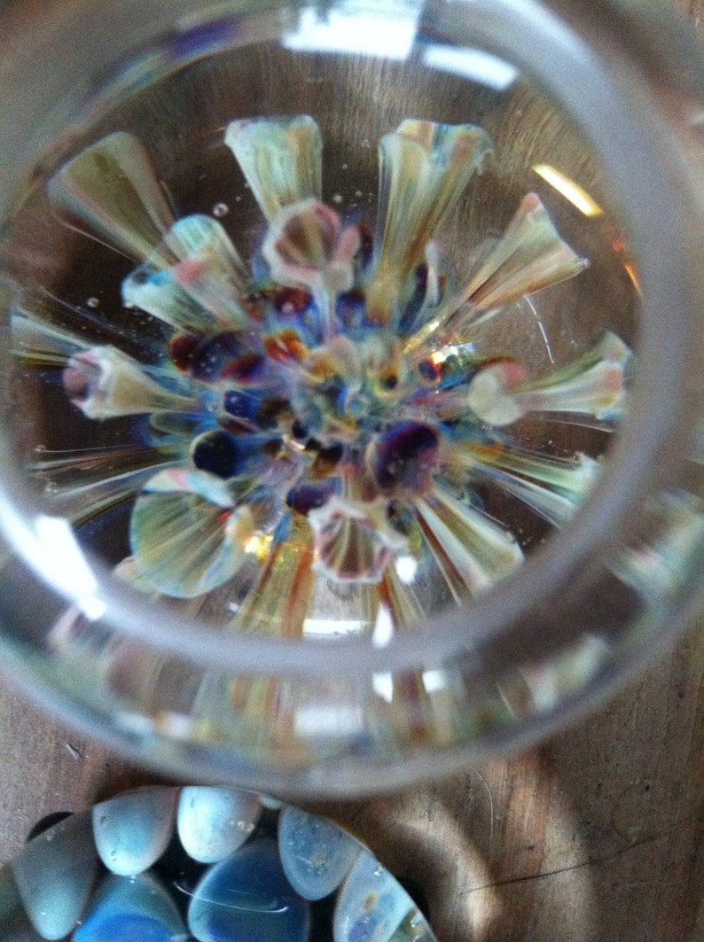 Cremation Glass Art Make Pet Ashes into Heirlooms image 3