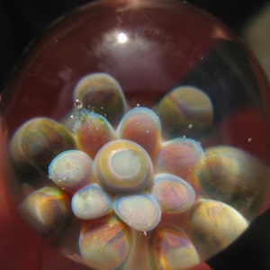 May include: A glass paperweight with a flower design. The flower is made of iridescent glass and has a white center. The paperweight is clear and has a red background.
