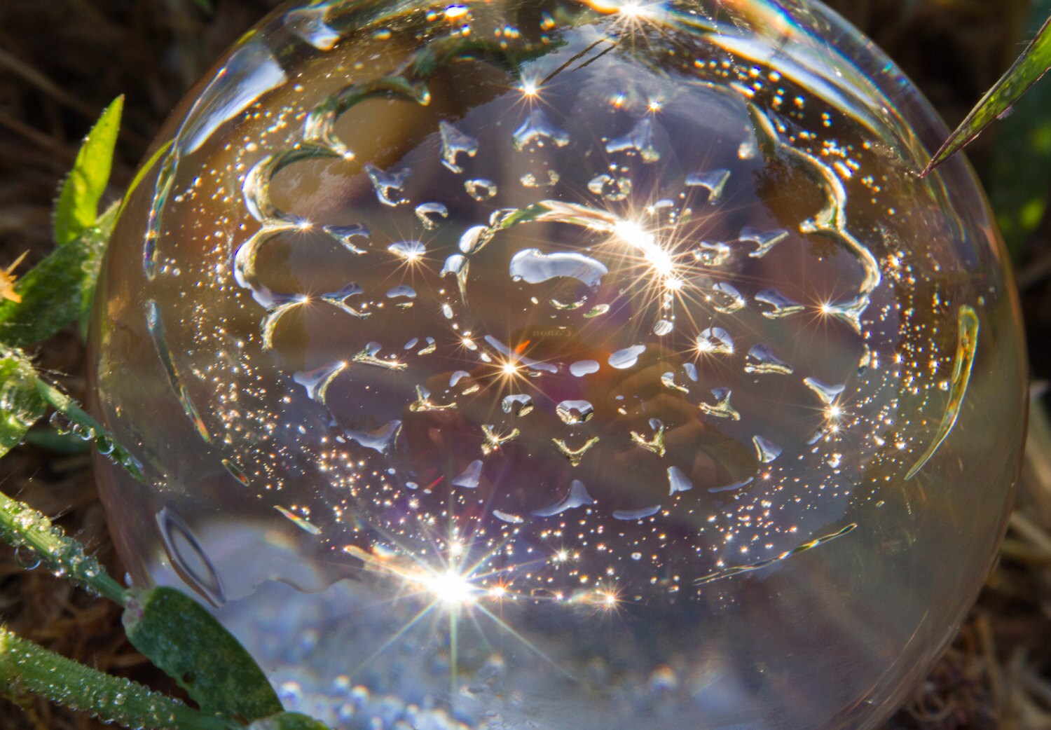 Cremation Ash Round Paperweights Make Pet Ashes Into Etsy